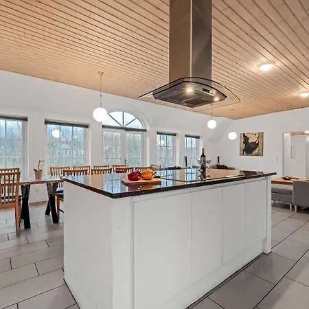 Large 18-person Pool House With Activity Room, Built In 2011 Hébergement de vacances Ulfborg