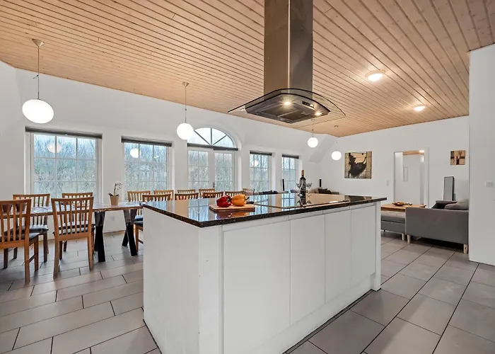 Large 18-person Pool House With Activity Room, Built In 2011 Ferienhaus Ulfborg